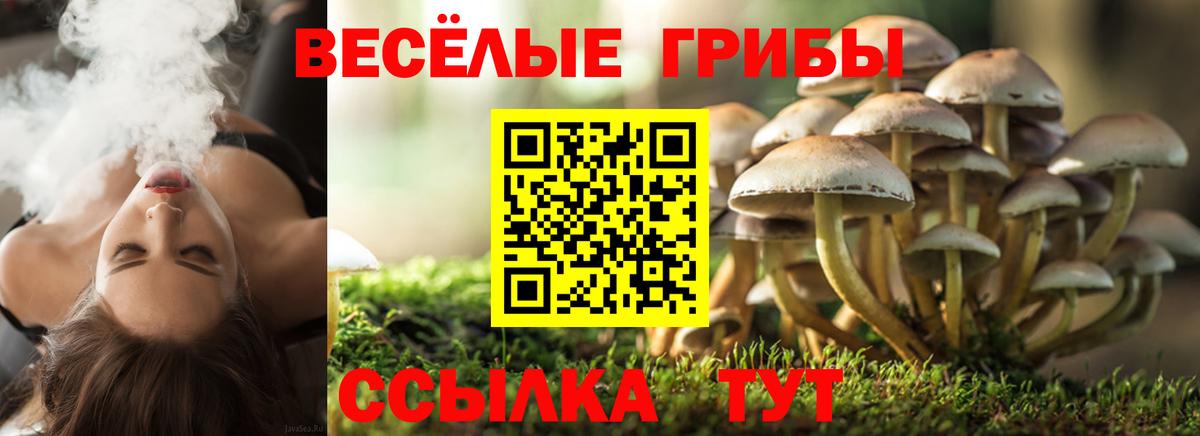 Соликамск  Галлюциногенные грибы Cubensis  Вход с VPN 